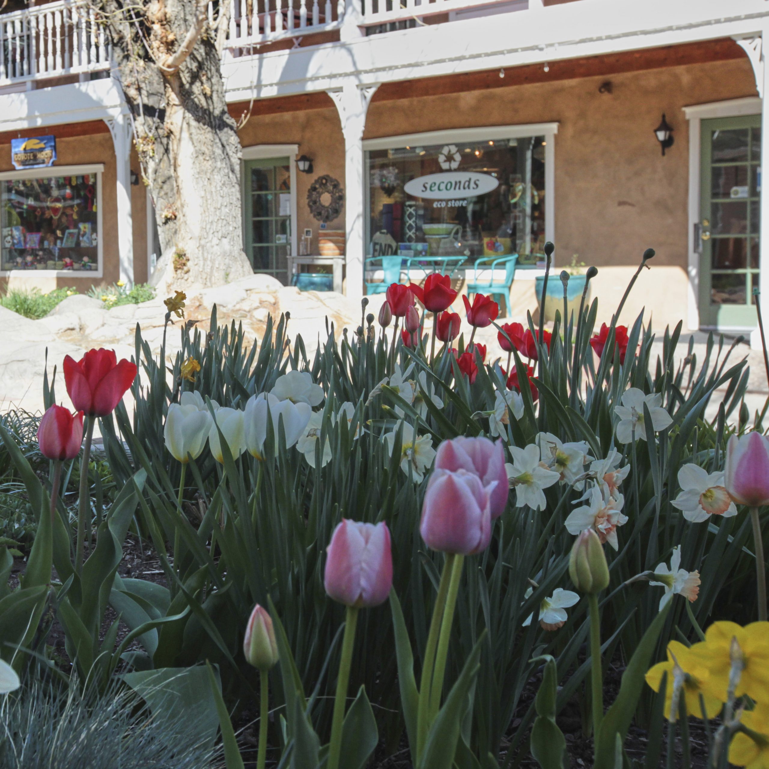 springflowers_walkway_Johndunnshops_chickwithclicks_website